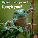  ******* ( ),  -  16  2022   