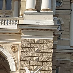 , , 50 