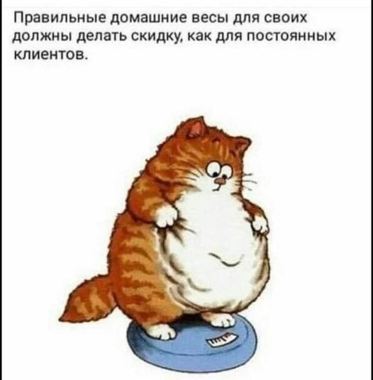   - 17  2022  17:52