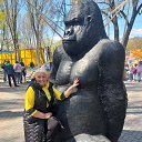 ���� �����, ������, 64 ���� - ��������� 6 ������� 2023