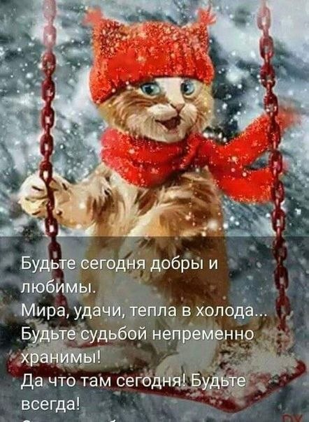   - 13  2022  11:14