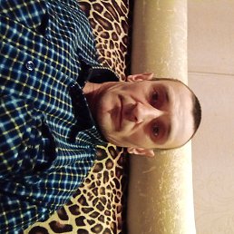 ����, ������ ��������, 41 ���