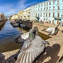 ���� ����, �����-��������� - ��������� 7 ������� 2022