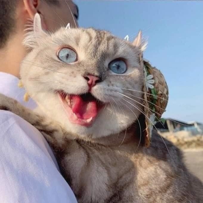        - 3