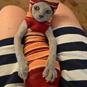 ���� ����, ����������� - ��������� 6 ������� 2022 � ������ ���� ����������