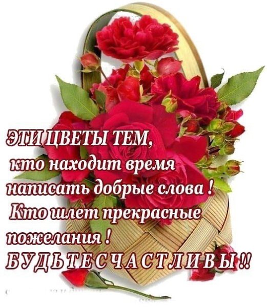   ,    . - 25  2022  15:05