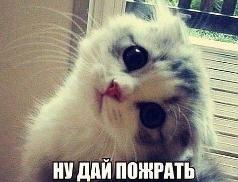    - 10  2022  11:43