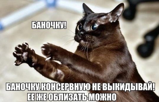    - 24  2022  04:33