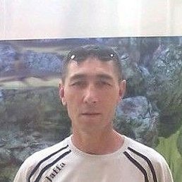 ������, �����-���������, 55 ���