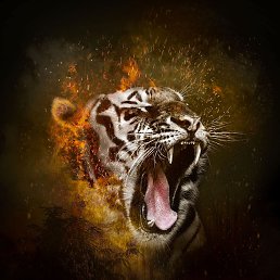 �����, ������, 39 ���