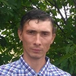 �������, �����, 39 ���