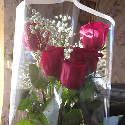 ������, ������, 52 ����