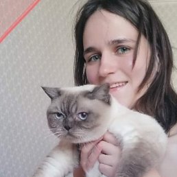 , 31 , 