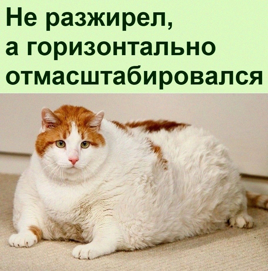   :D - 4  2022  06:16