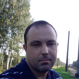 , 29, 