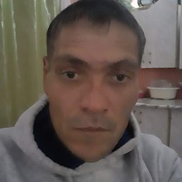 , , 46 