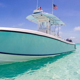 ������, �����-���������, 63 ����