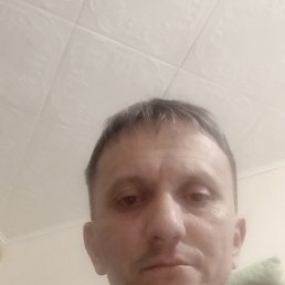 , 40, 