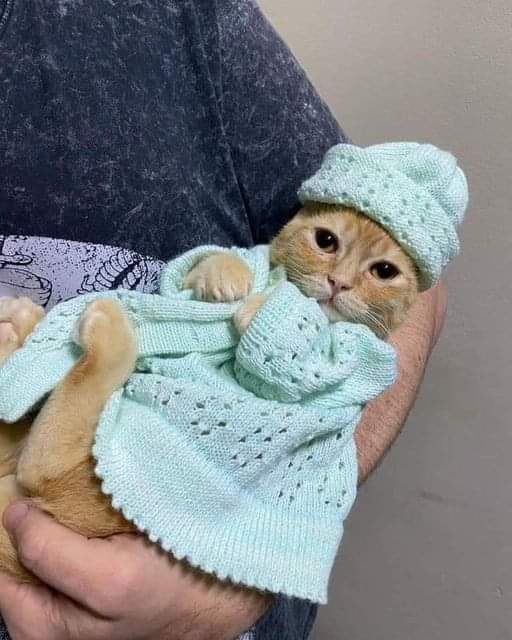 :)  ...