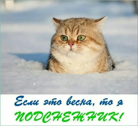   ! - 23  2022  10:07