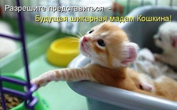    - 9  2022  14:16