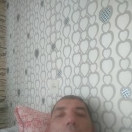 , 48 , 