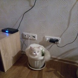 , , 40 