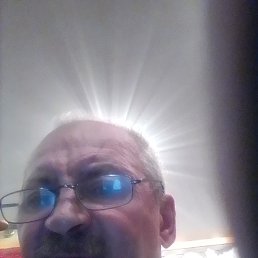 , 66, 