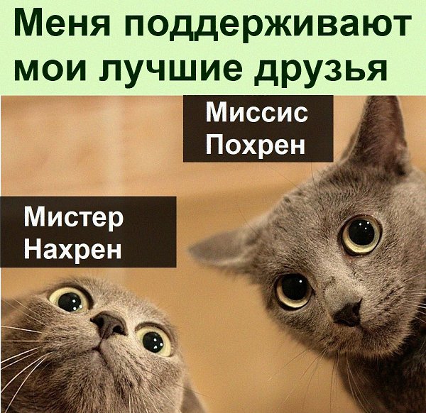 � ������ �����
