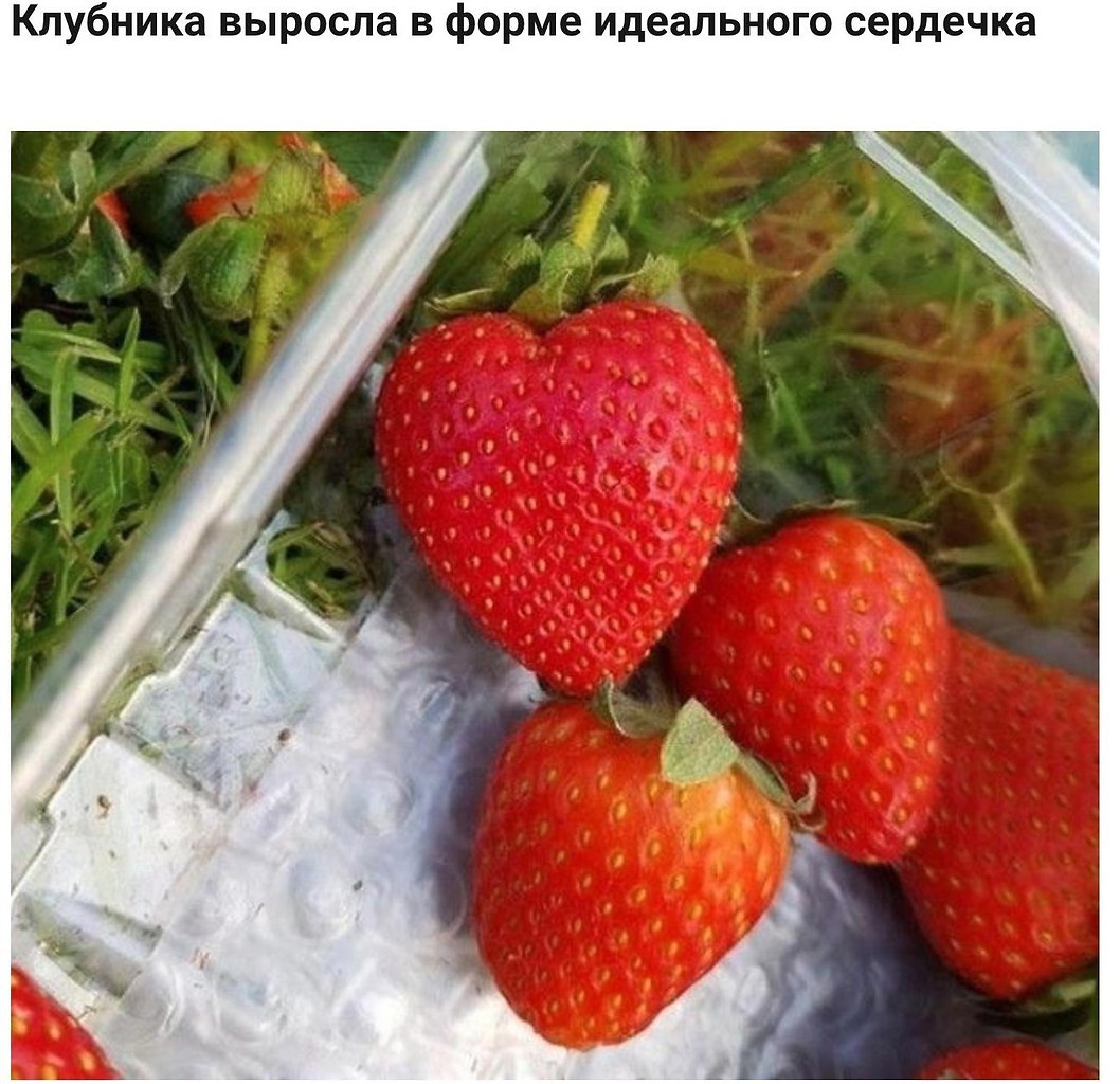         - 5