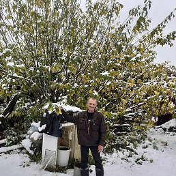 ������, ������, 61 ���