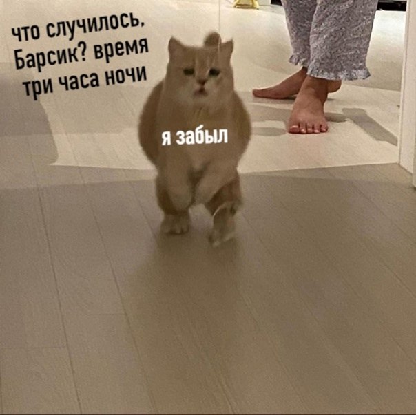 3 ���� ���� ����� ����� ��������� ������� - 3