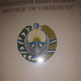  Jaska, -, 33  -  23  2022