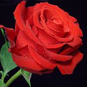 ���� Egor, ��������, 55 ��� - ��������� 19 ������� 2022 � ������ ������ ��������