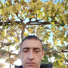 ���� Momcilo, �������, 43 ���� - ��������� 3 ������ 2022