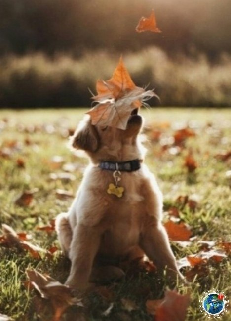 cea ec, a o o o e...    - 5