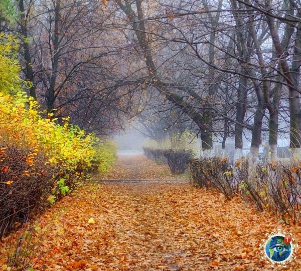 apaca oac.aopaaa pacoa  