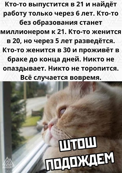 Не торопись, наслаждайся каждым этапом своей жизни