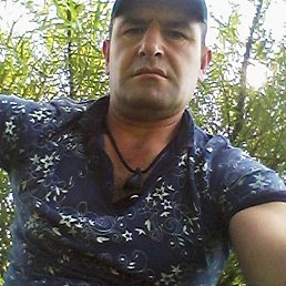 , 31 , 