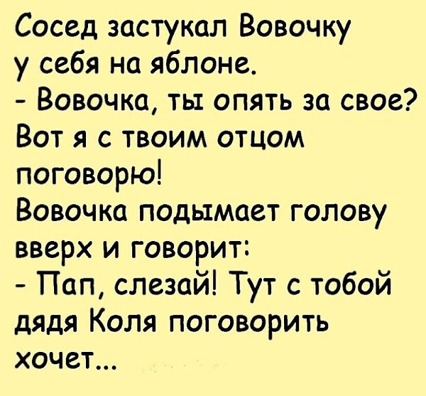 ☆ ☆ - 6  2022  23:38