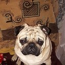 ���� �����, ������, 62 ���� - ��������� 6 �������� 2022 � ������ ���� ����������