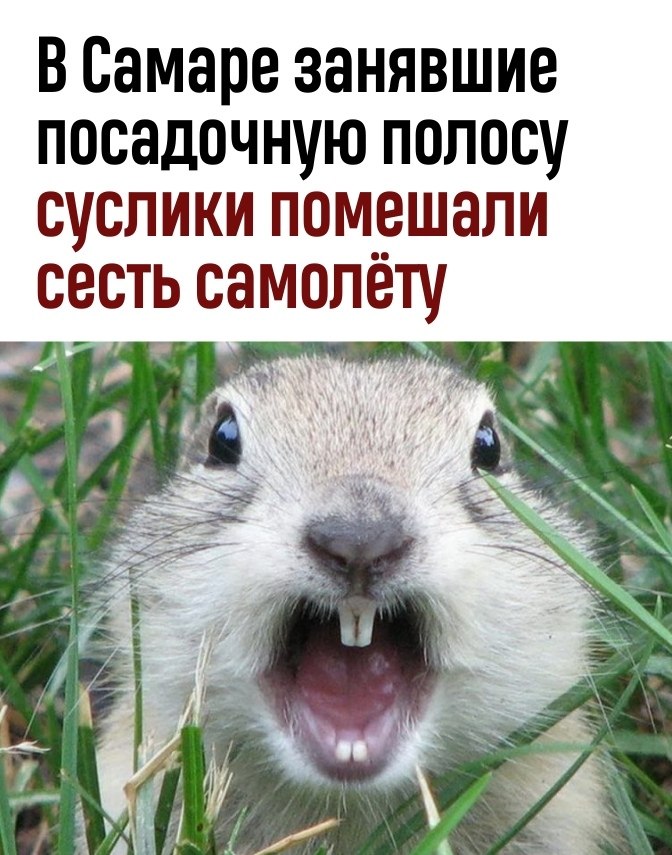 -  ? - ! -   .    .