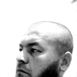 ������, �������, 33 ����