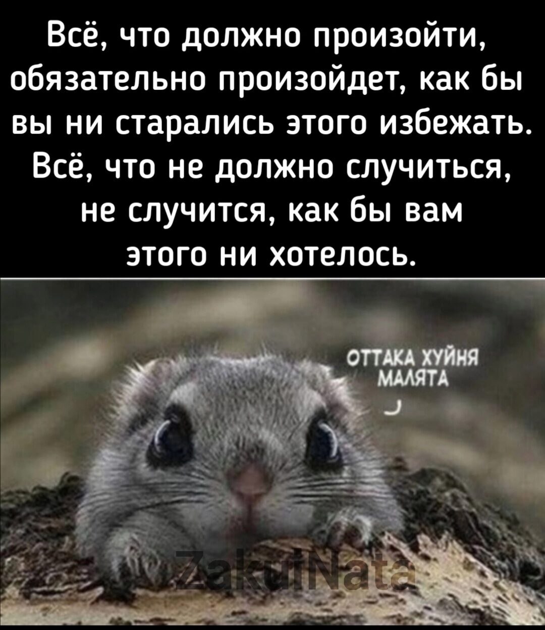***Victoria Viktorovna*** - 9  2022  06:40