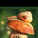 ���� ����, ������, 62 ���� - ��������� 11 ������� 2022