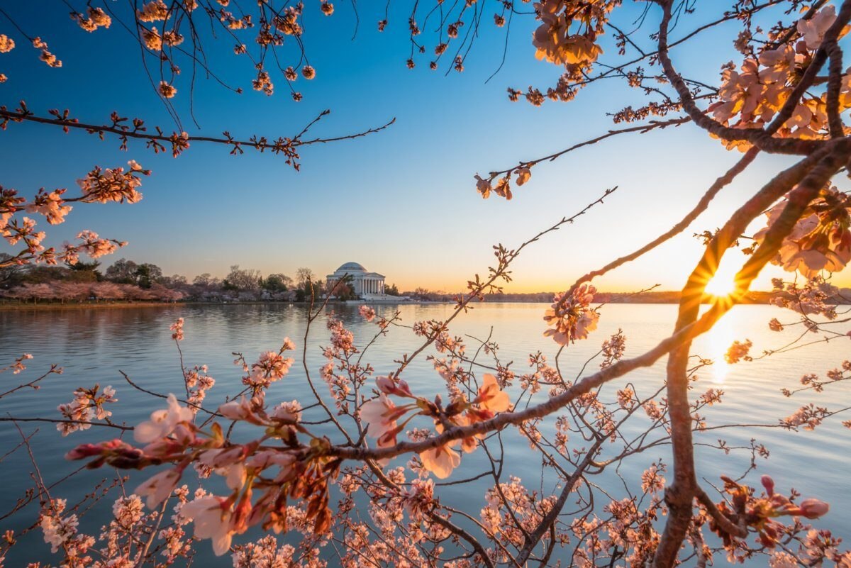 Мгновения прекрасней в мире нет, Чем утренний чарующий рассвет.............
