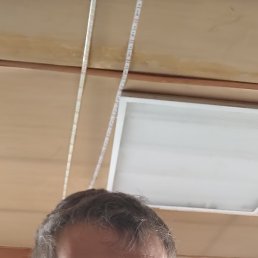 , , 41 