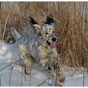 ���� Vladimir, �����������, 65 ��� - ��������� 18 ������ 2023 � ������ ���� ����������