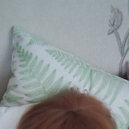 , 45, -