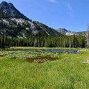 ���� Saba, ����������� - ��������� 5 �������� 2022